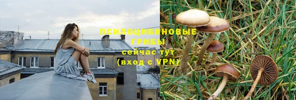 СК Балабаново