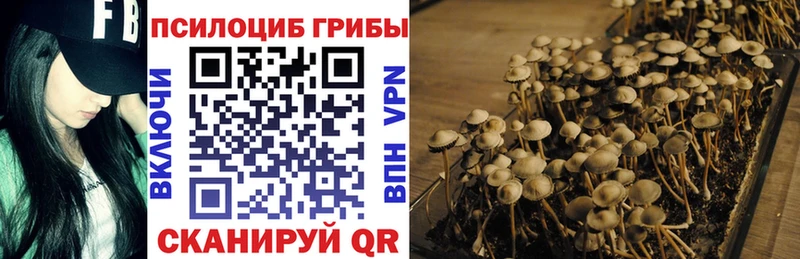 цена наркотик  Коряжма  Псилоцибиновые грибы Cubensis 