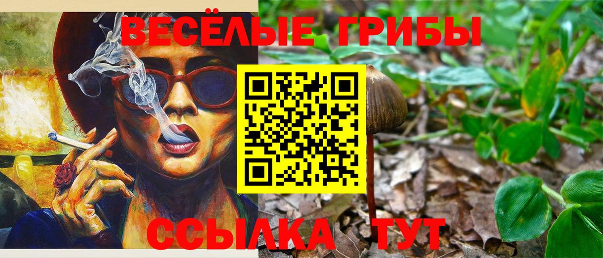 Галлюциногенные грибы GOLDEN TEACHER  Псилоцибиновые грибы Psilocybe  Коряжма 