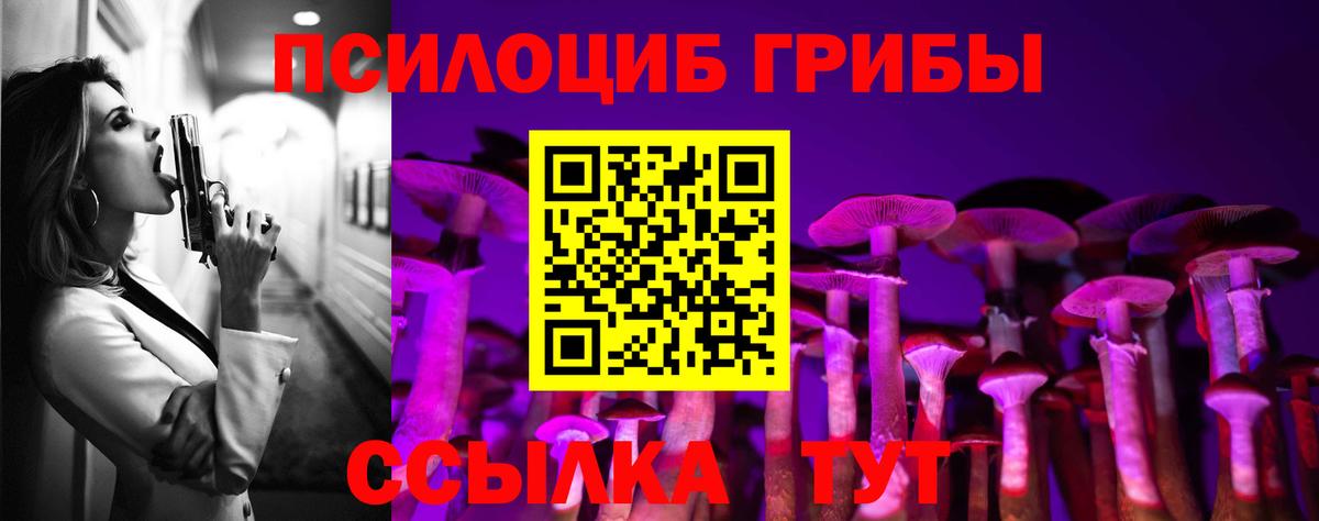 Галлюциногенные грибы MAGIC MUSHROOMS  Галлюциногенные грибы Magic Shrooms  цена наркотик  Коряжма  Вход с VPN 